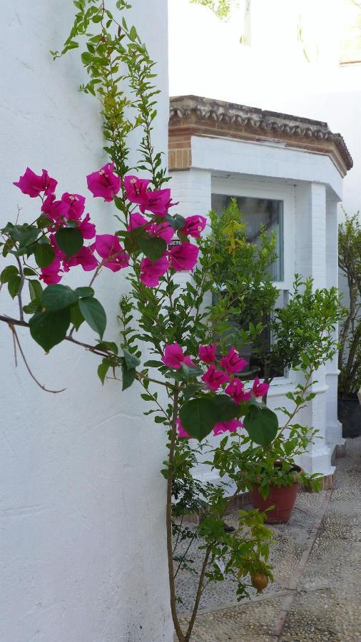 Patios Del Agua Bed and Breakfast El Puerto de Santa María Buitenkant foto